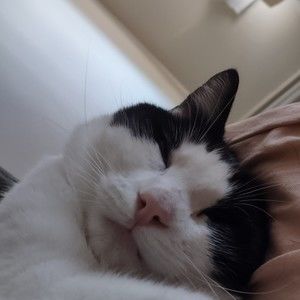 Meet your Posher, Promise